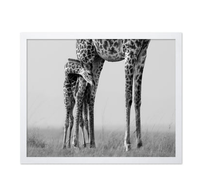 Baby Giraffe Bond