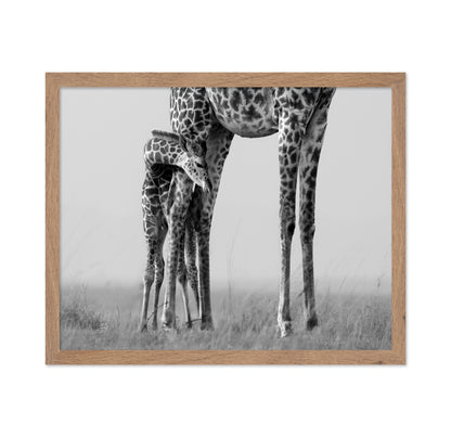 Baby Giraffe Bond