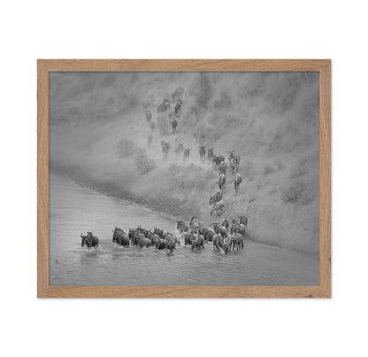 Wildebeest Crossing