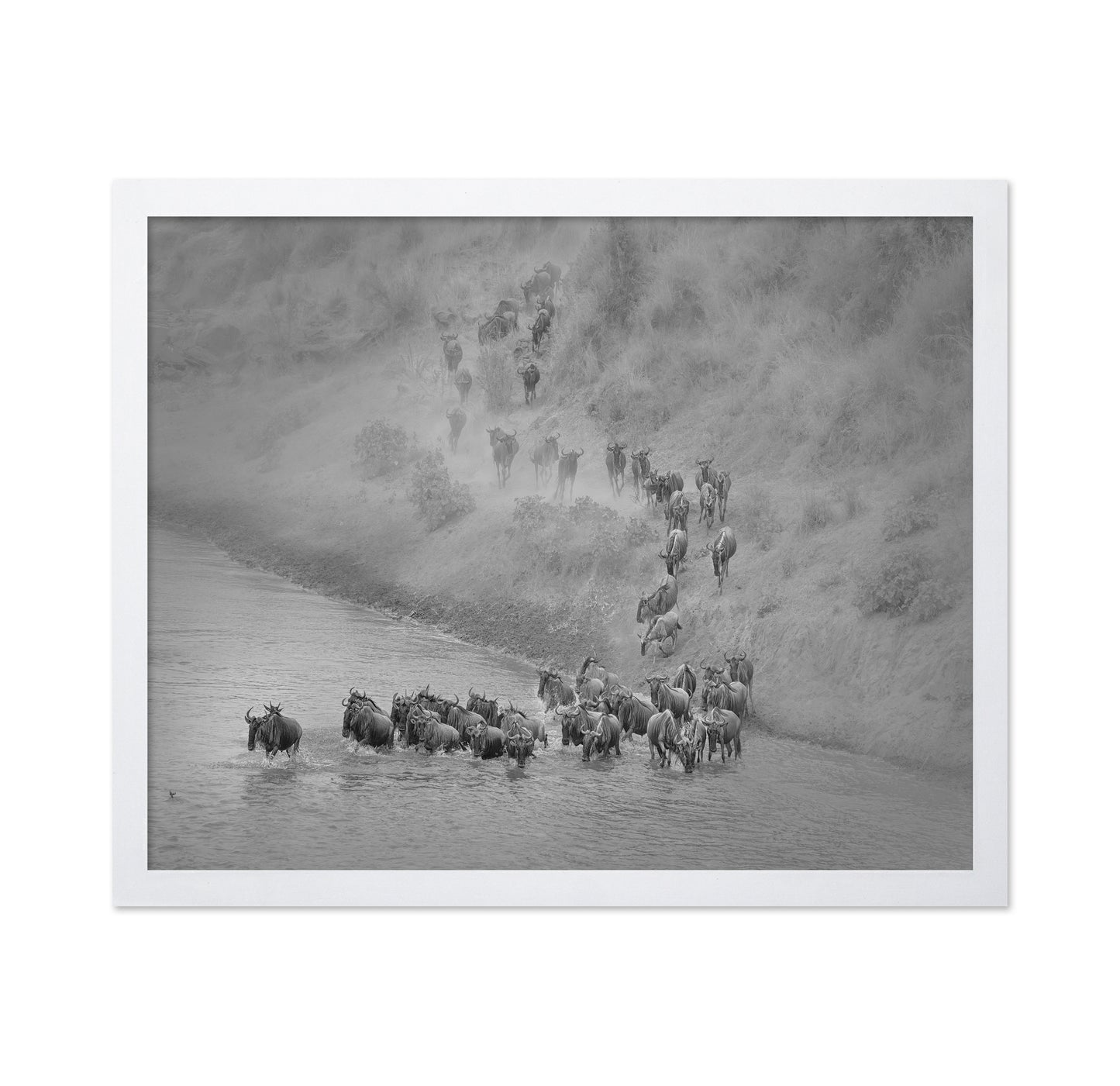 Wildebeest Crossing