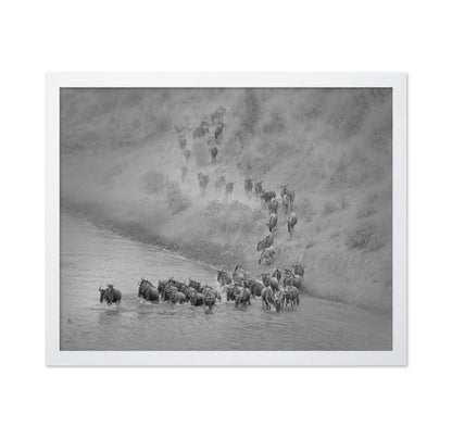 Wildebeest Crossing