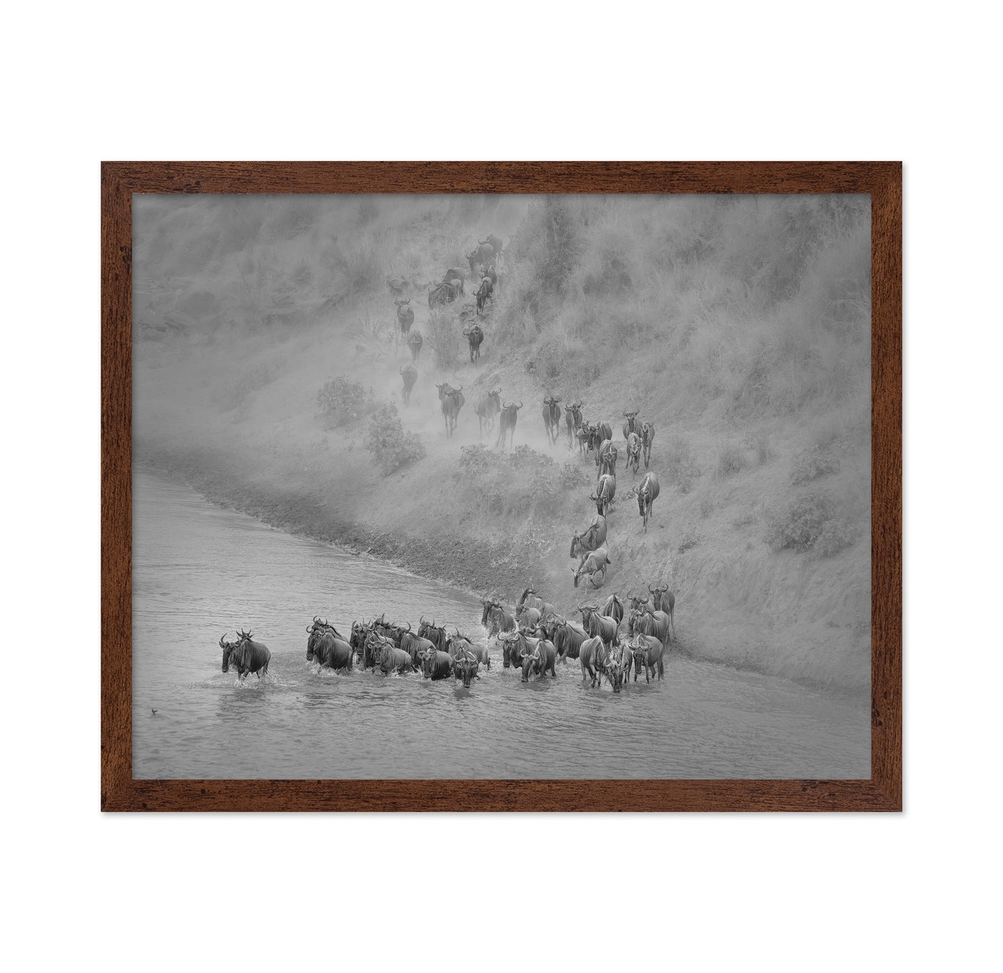 Wildebeest Crossing