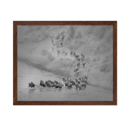 Wildebeest Crossing