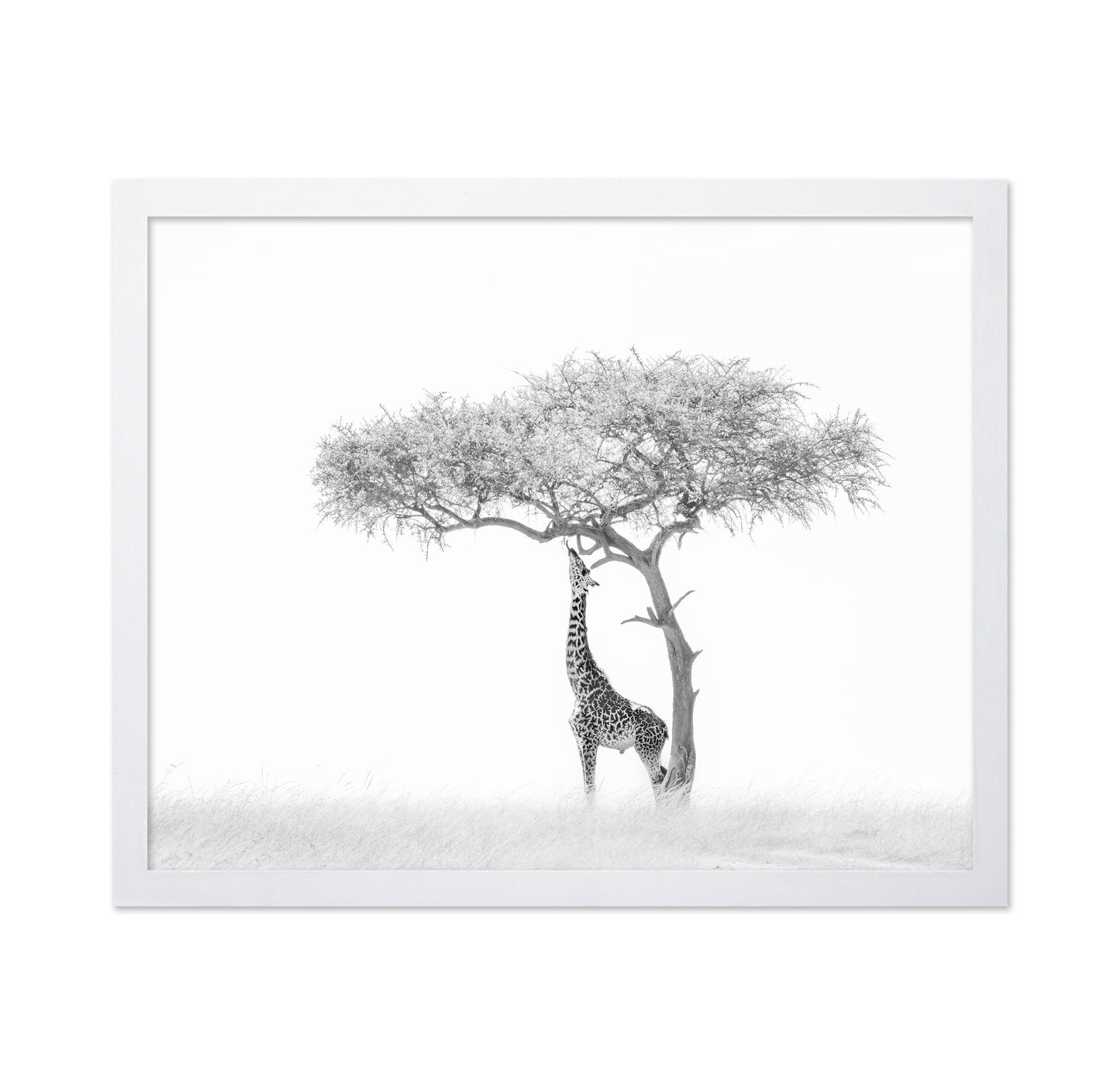 Giraffe Tree