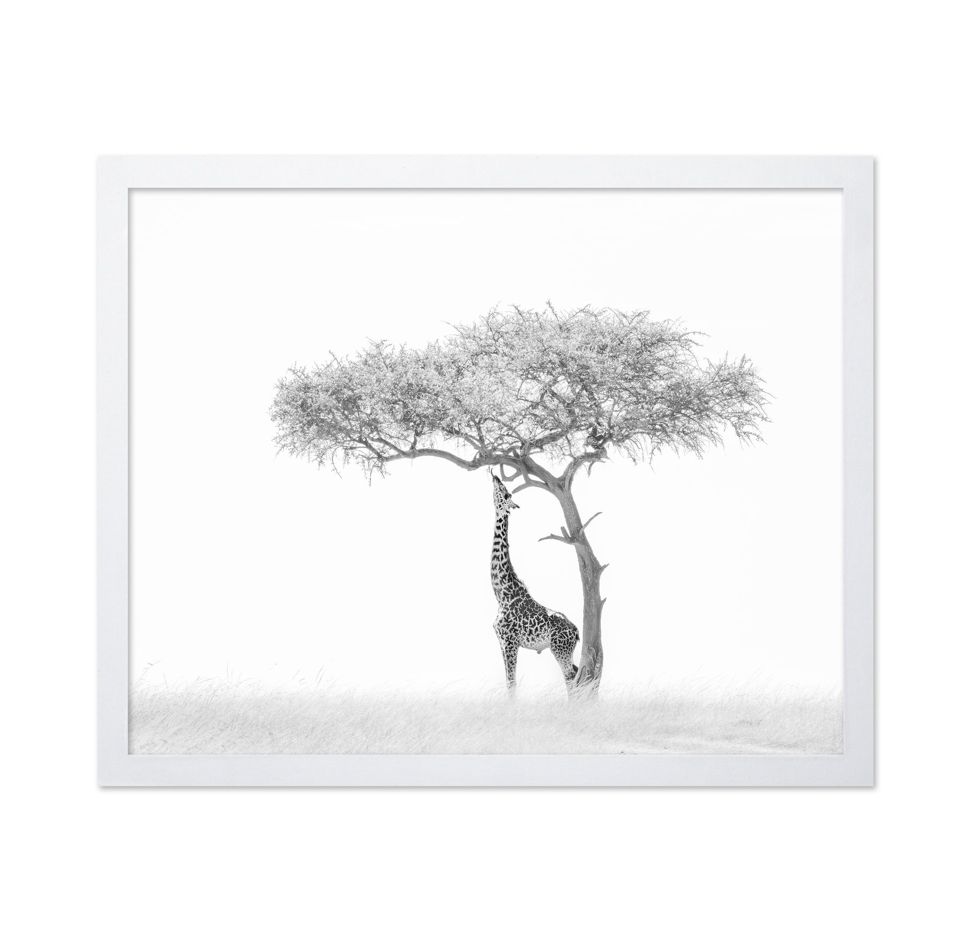 Giraffe Tree