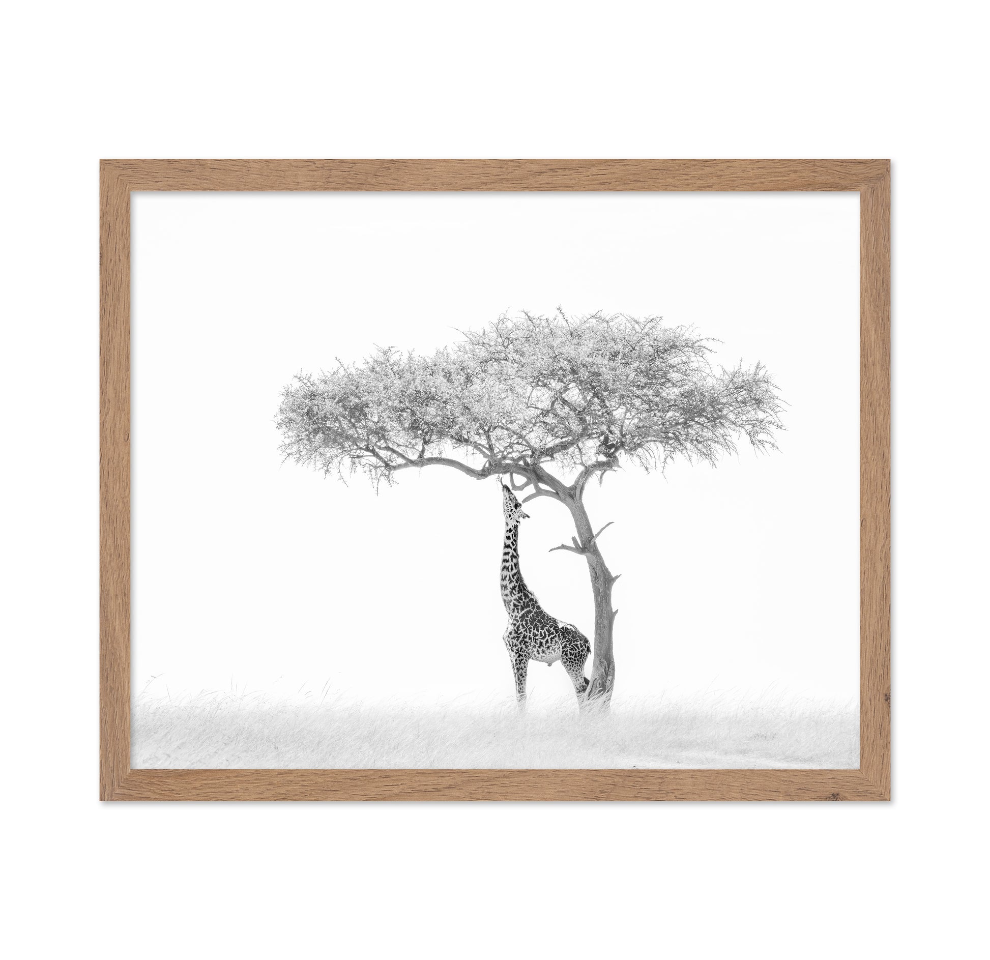 Giraffe Tree