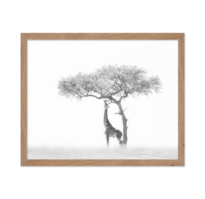 Giraffe Tree