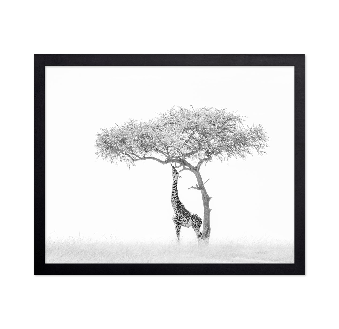 Giraffe Tree