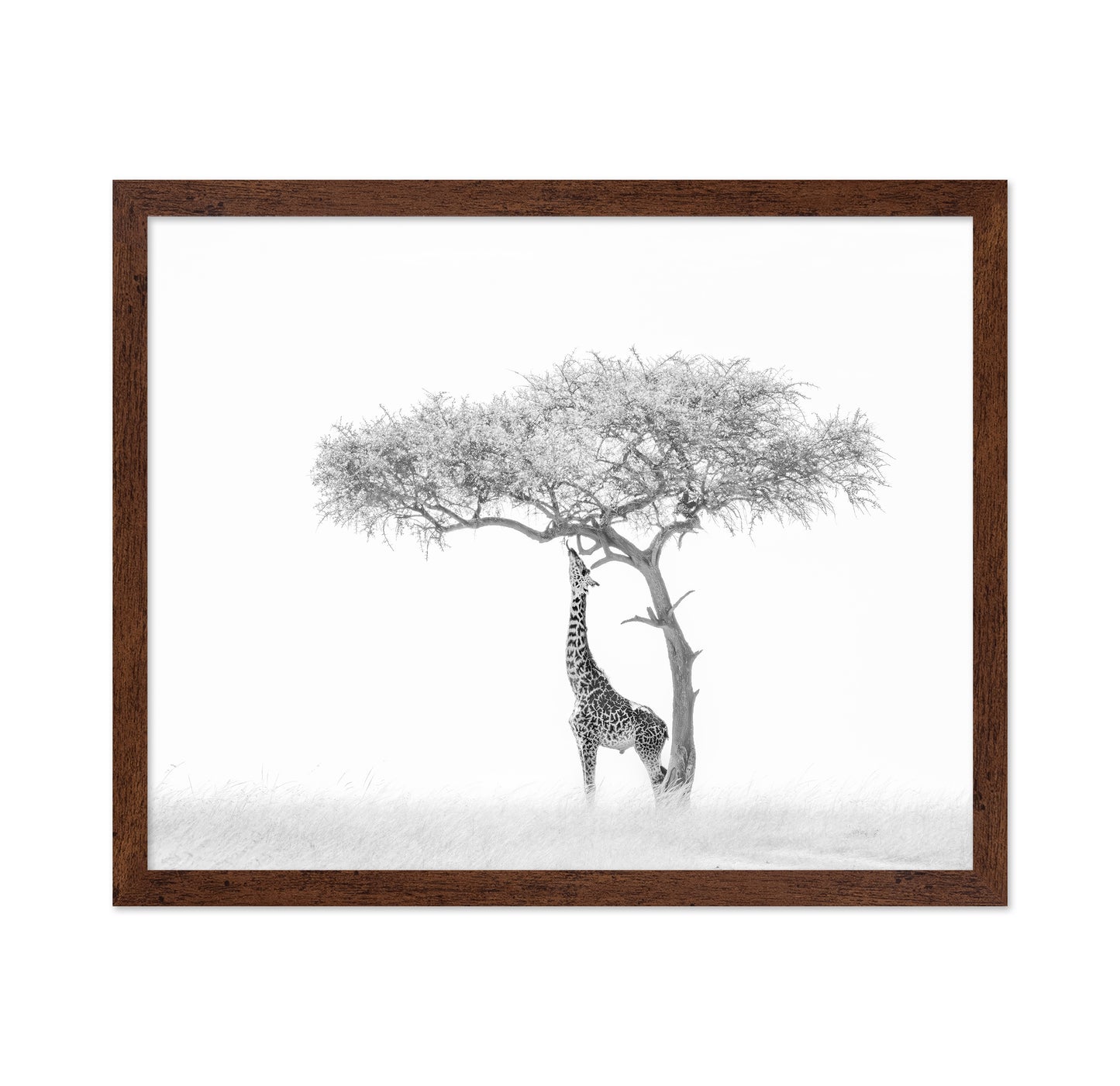 Giraffe Tree