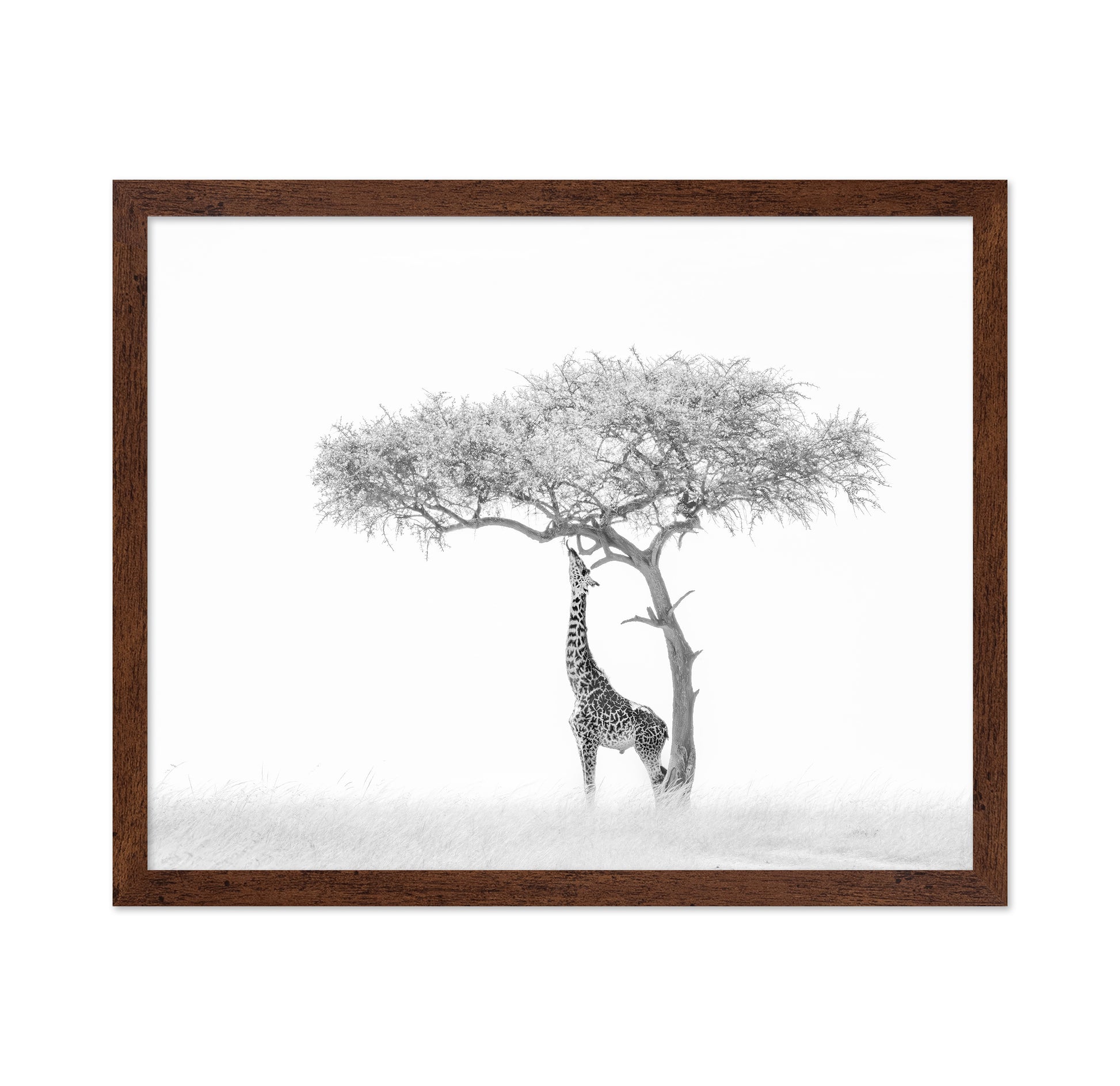 Giraffe Tree
