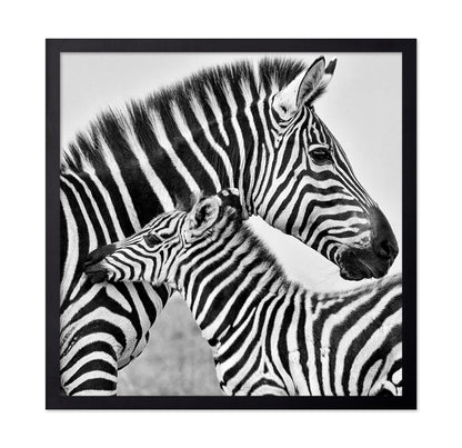 Zebra Bond