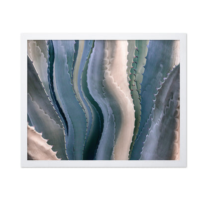 Agave Texture