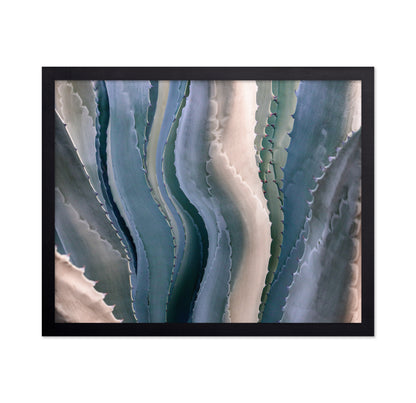 Agave Texture
