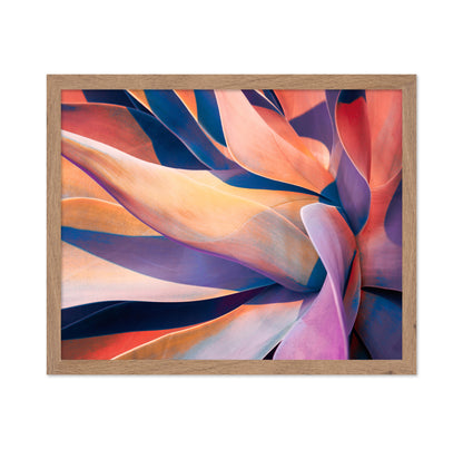 Colorful Agave Abstract