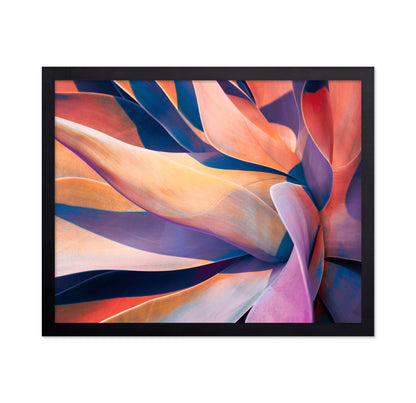 Colorful Agave Abstract