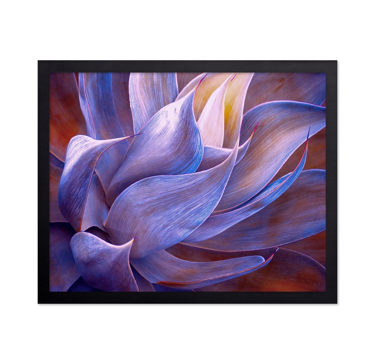 Violet Agave Abstract
