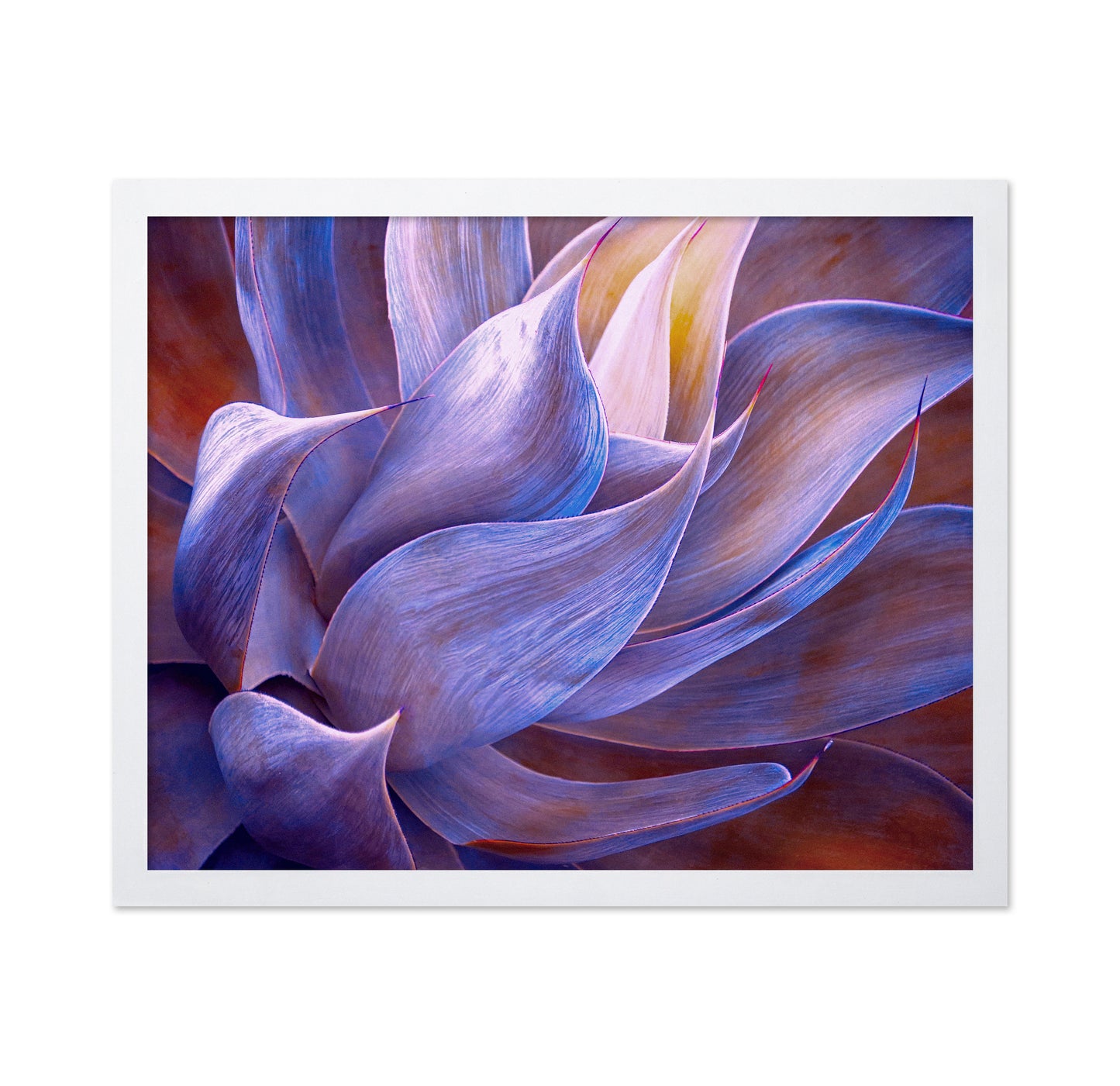 Violet Agave Abstract