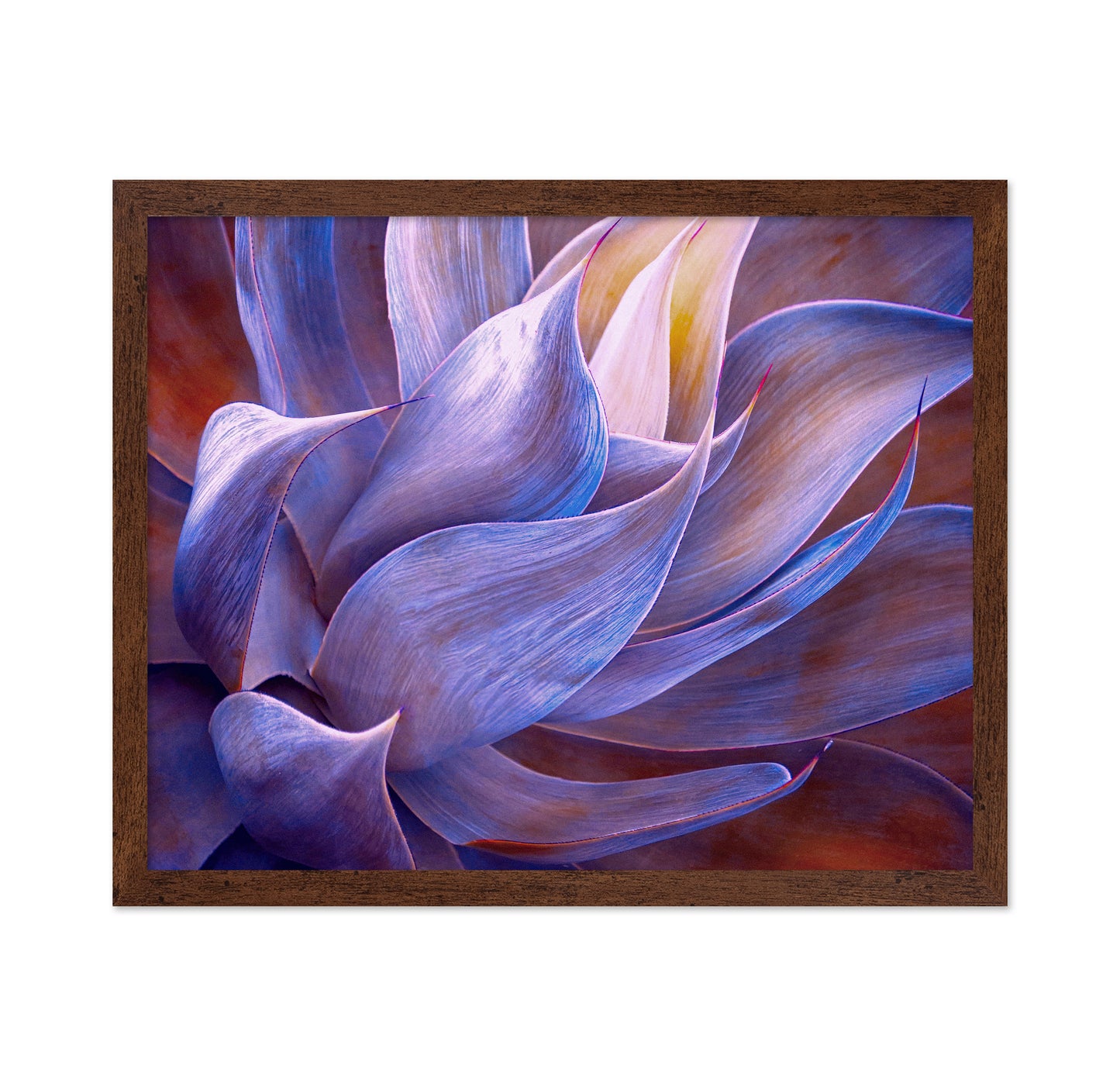 Violet Agave Abstract