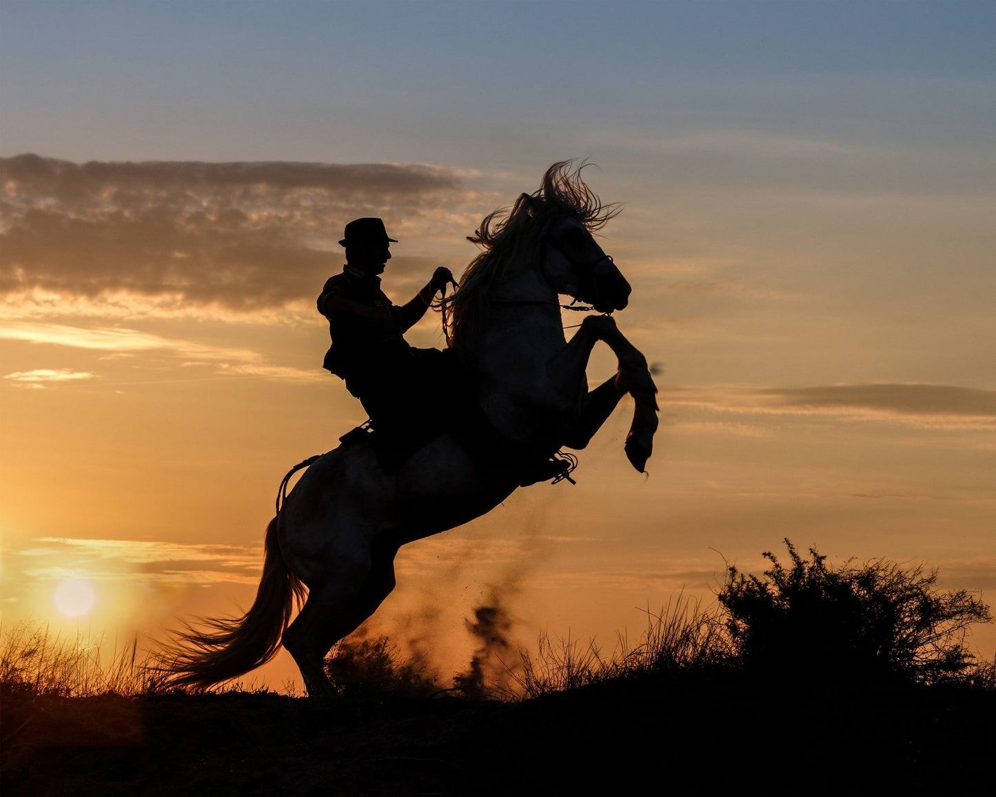 Cowboy Sunrise Ride