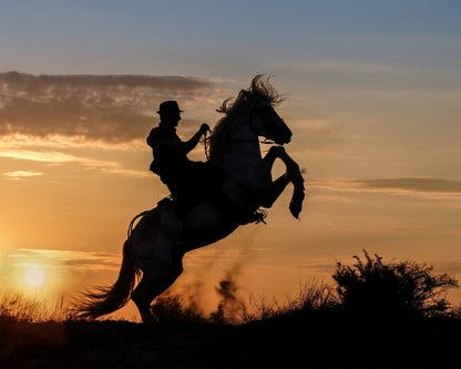 Cowboy Sunrise Ride