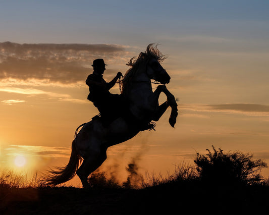Cowboy Sunrise Ride