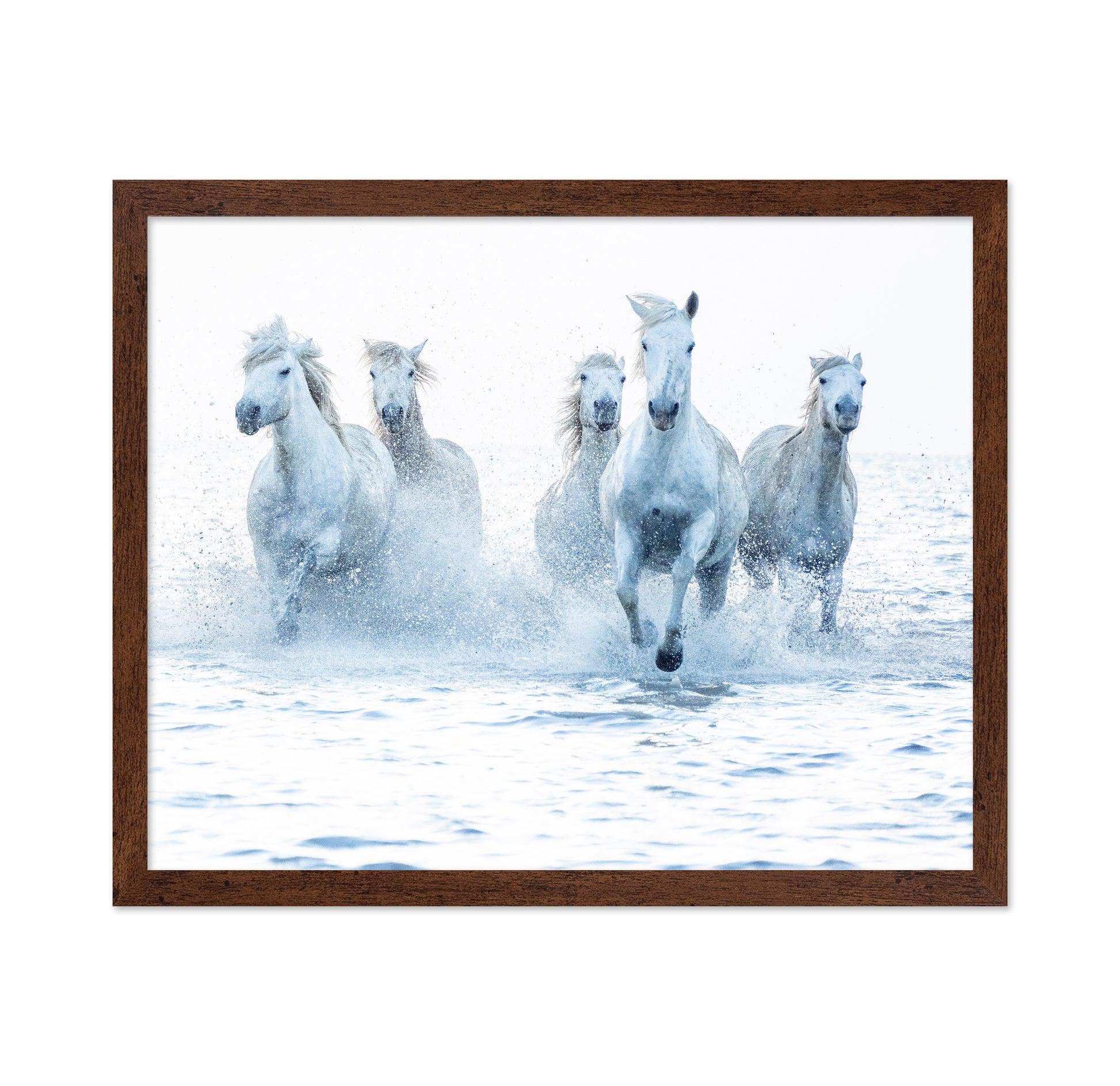 Wild Horses Running
