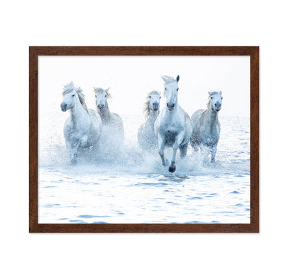 Wild Horses Running
