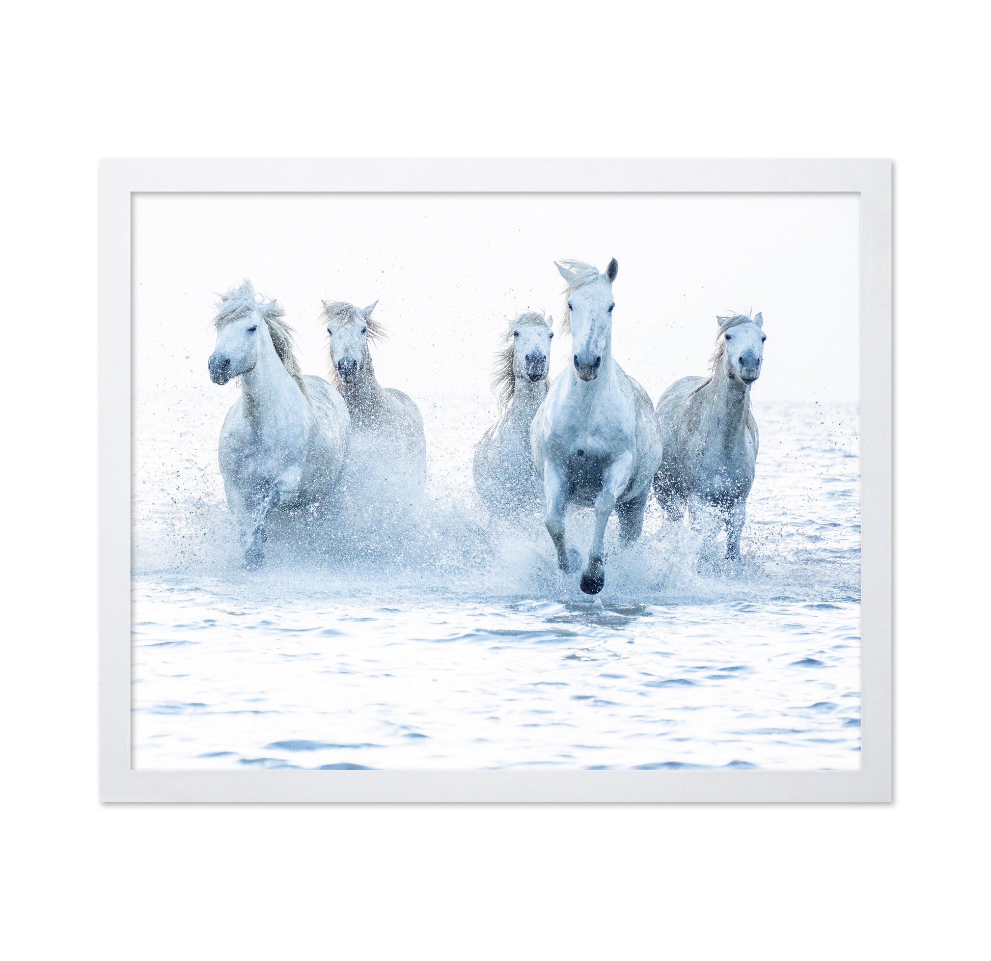 Wild Horses Running