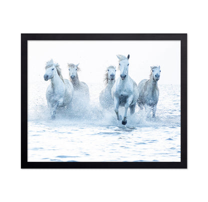 Wild Horses Running