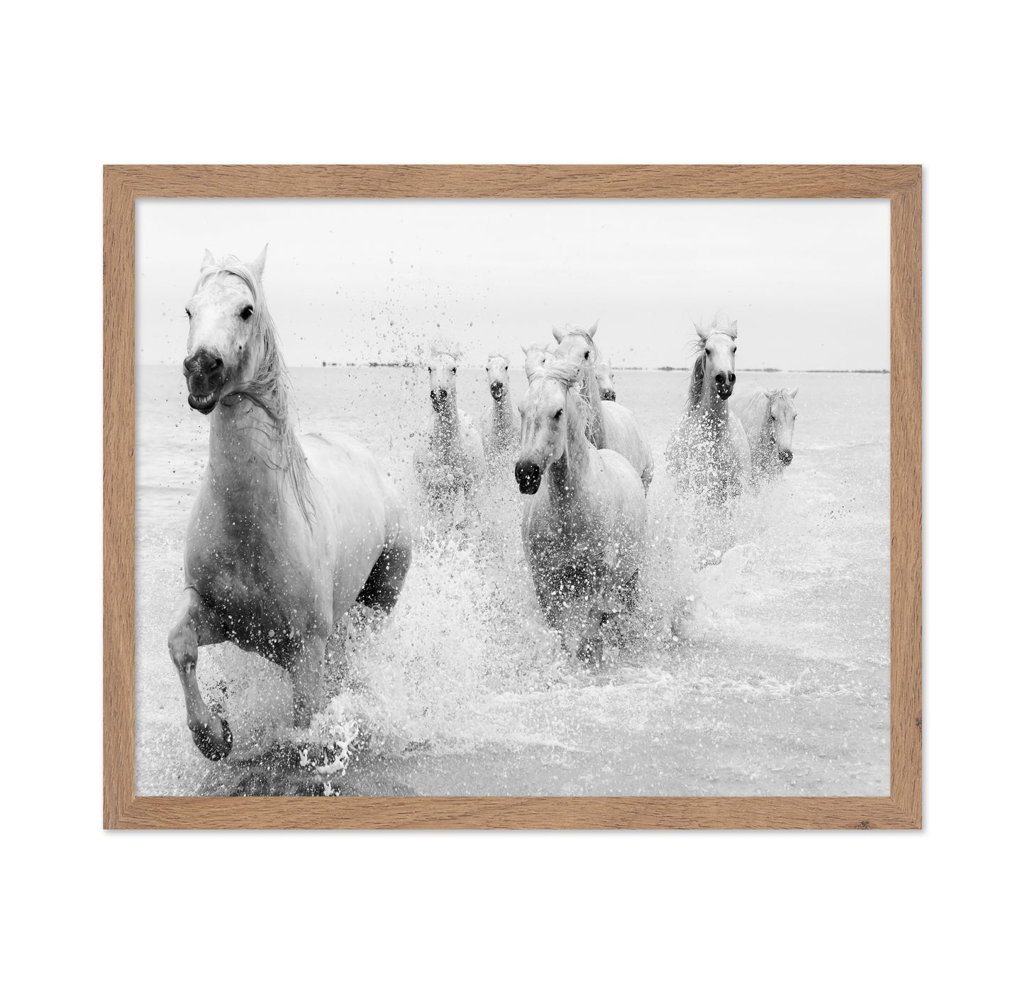 Horses Charging