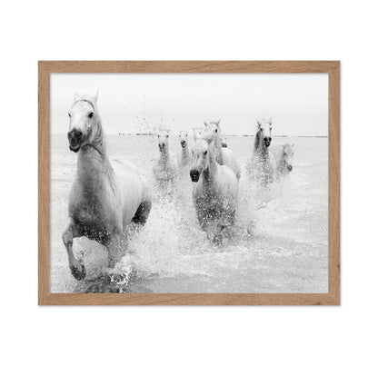 Horses Charging