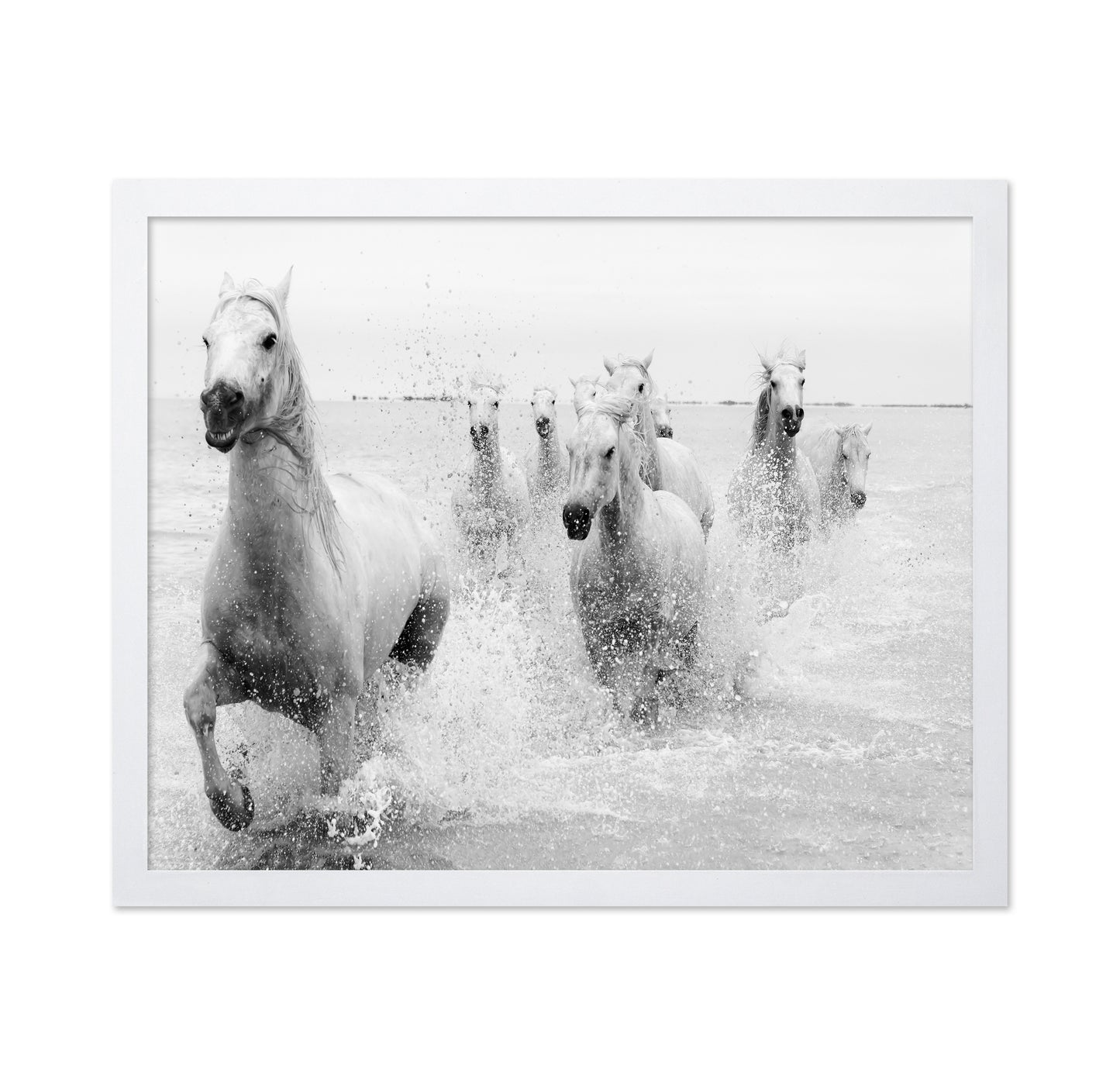 Horses Charging