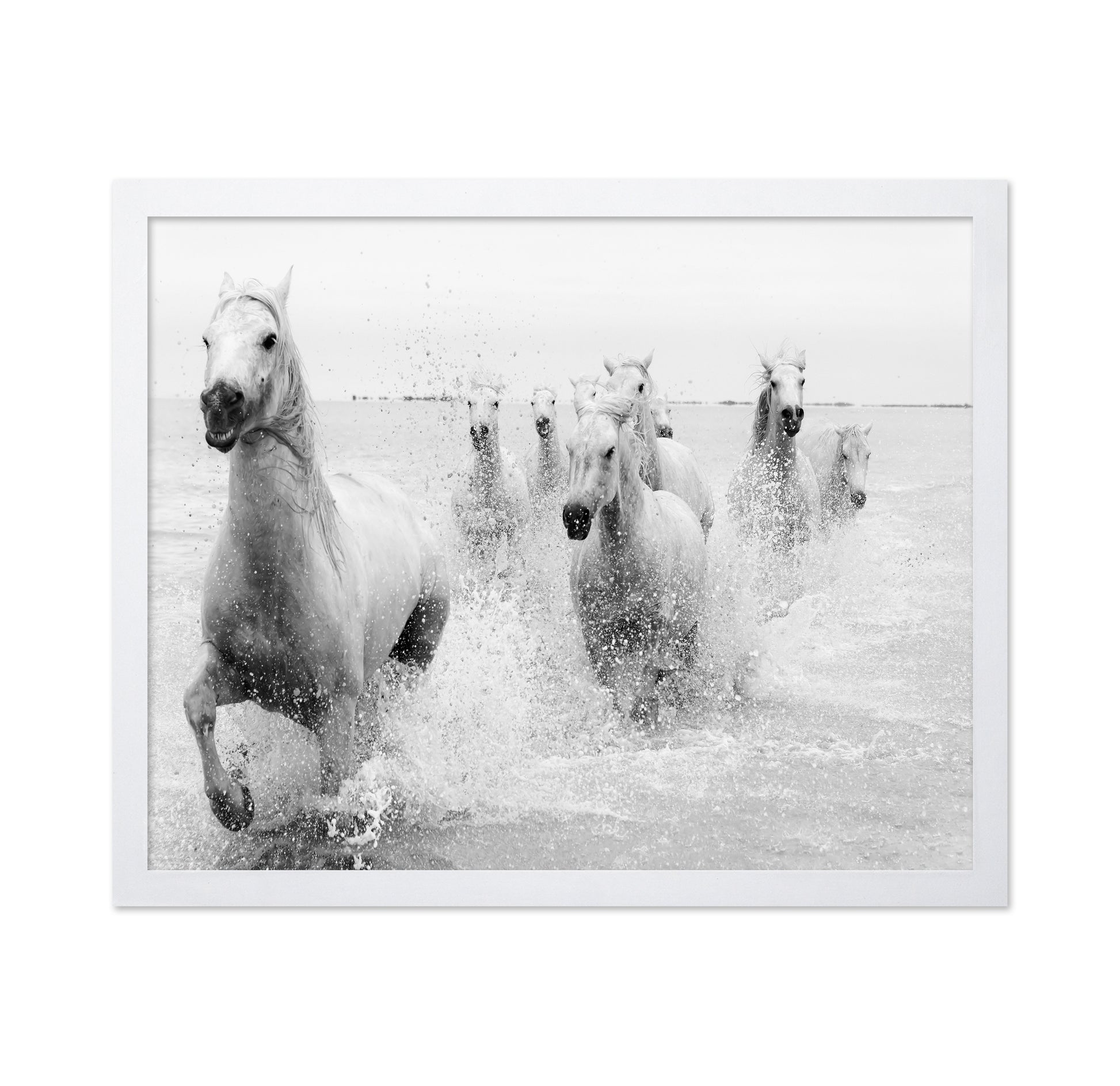 Horses Charging