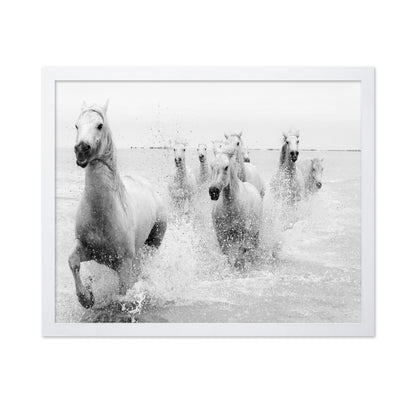 Horses Charging