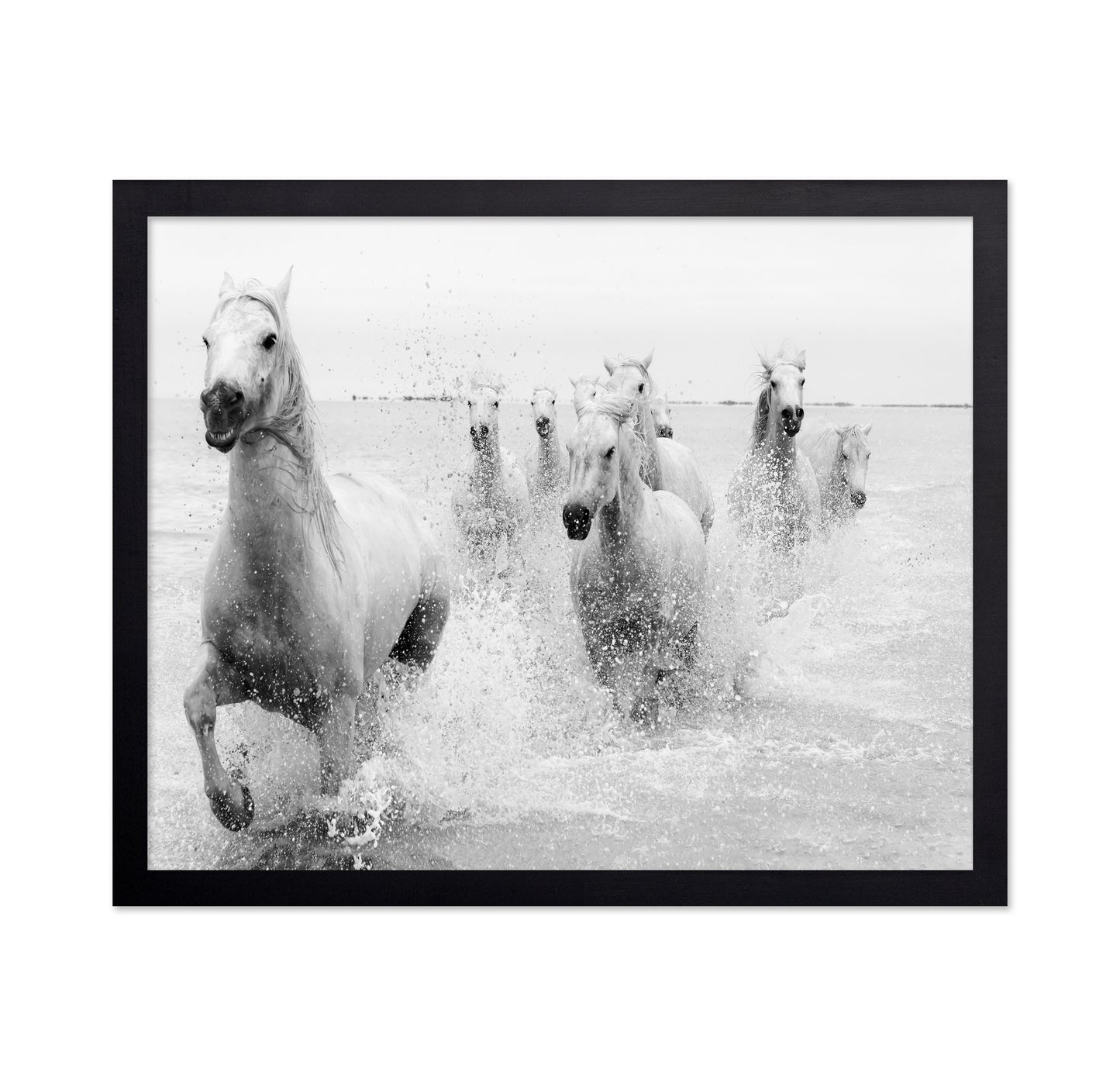 Horses Charging