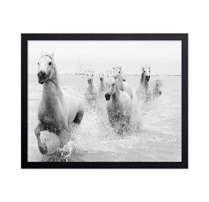 Horses Charging