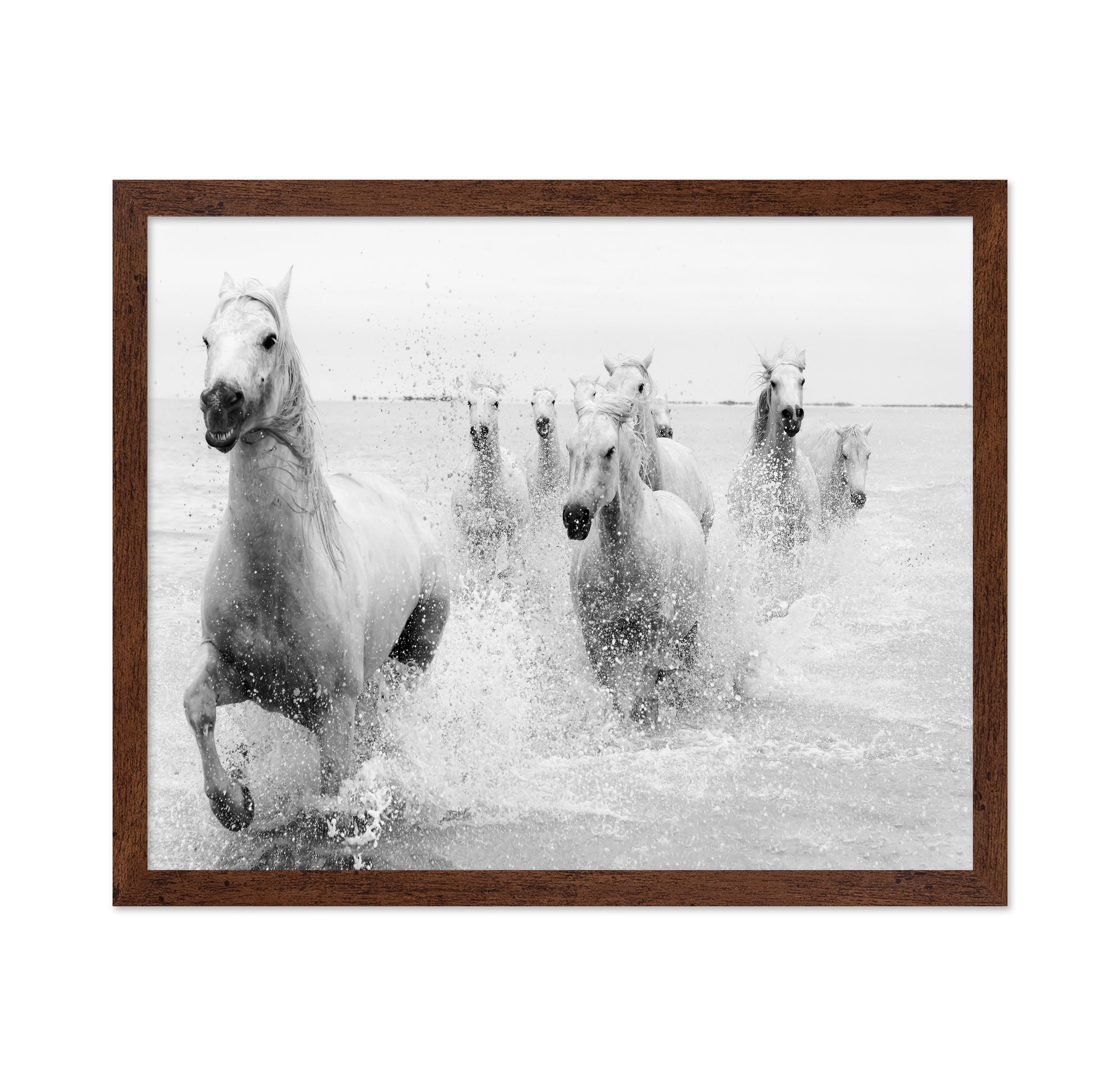 Horses Charging