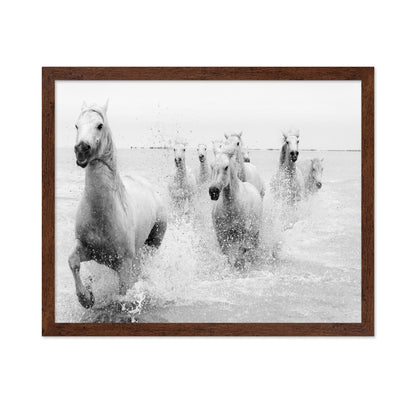 Horses Charging
