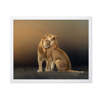 Lion Love