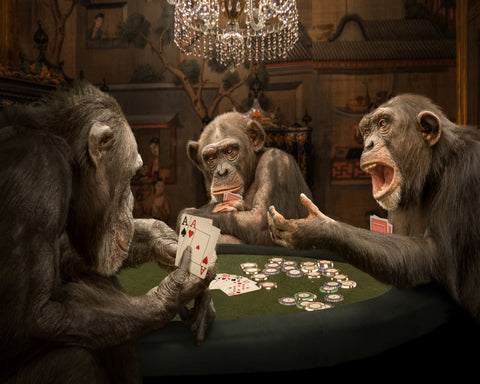 Monkeys Playing Poker