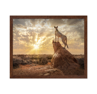 Cheetah Sunset Watch