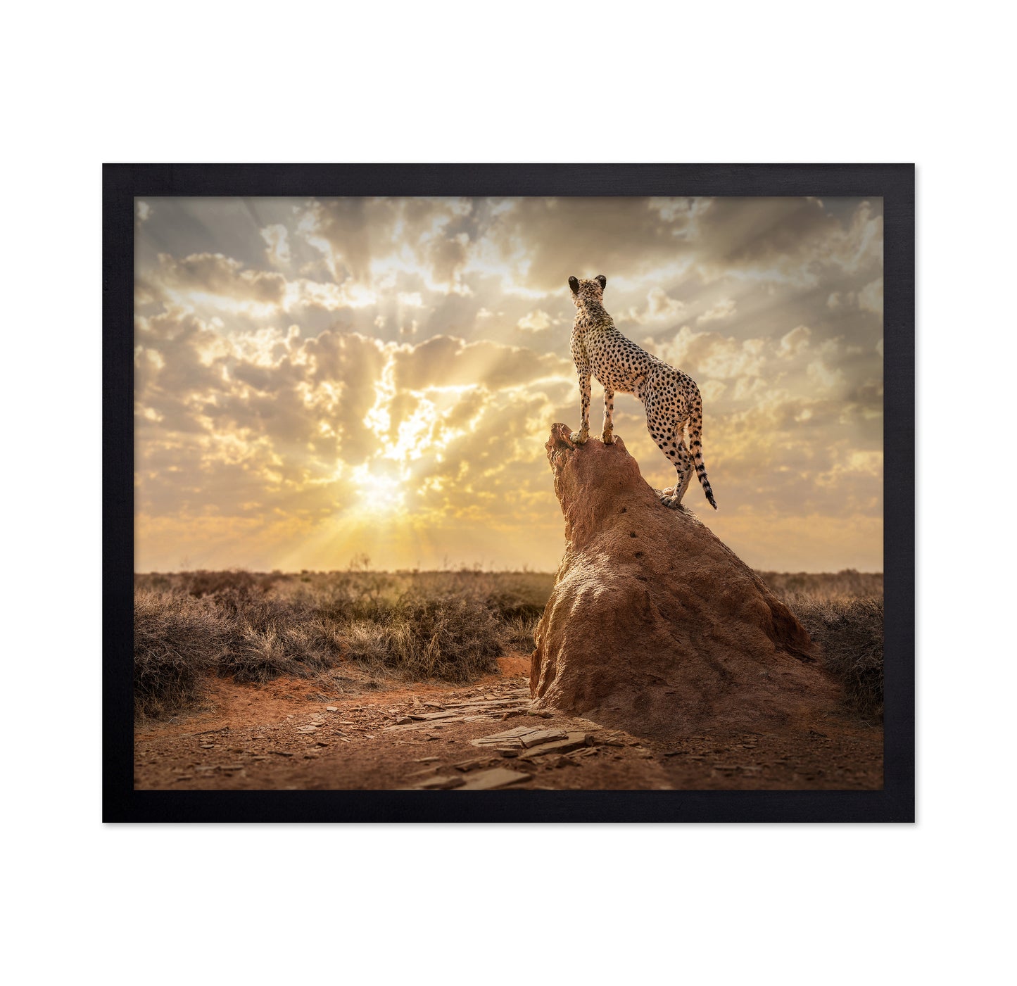 Cheetah Sunset Watch