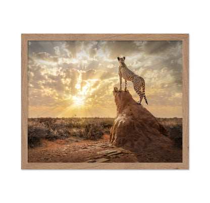 Cheetah Sunset Watch