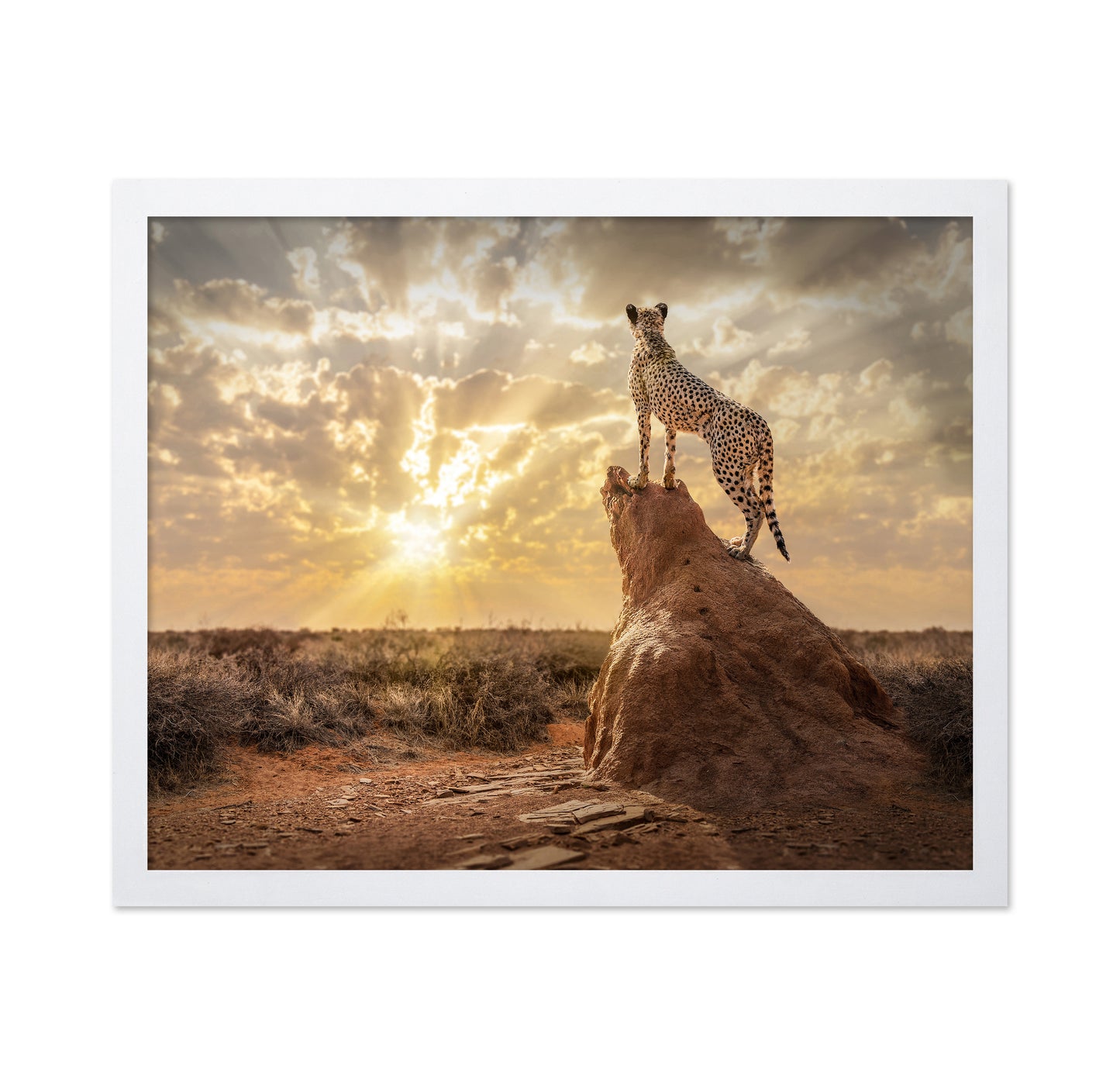 Cheetah Sunset Watch