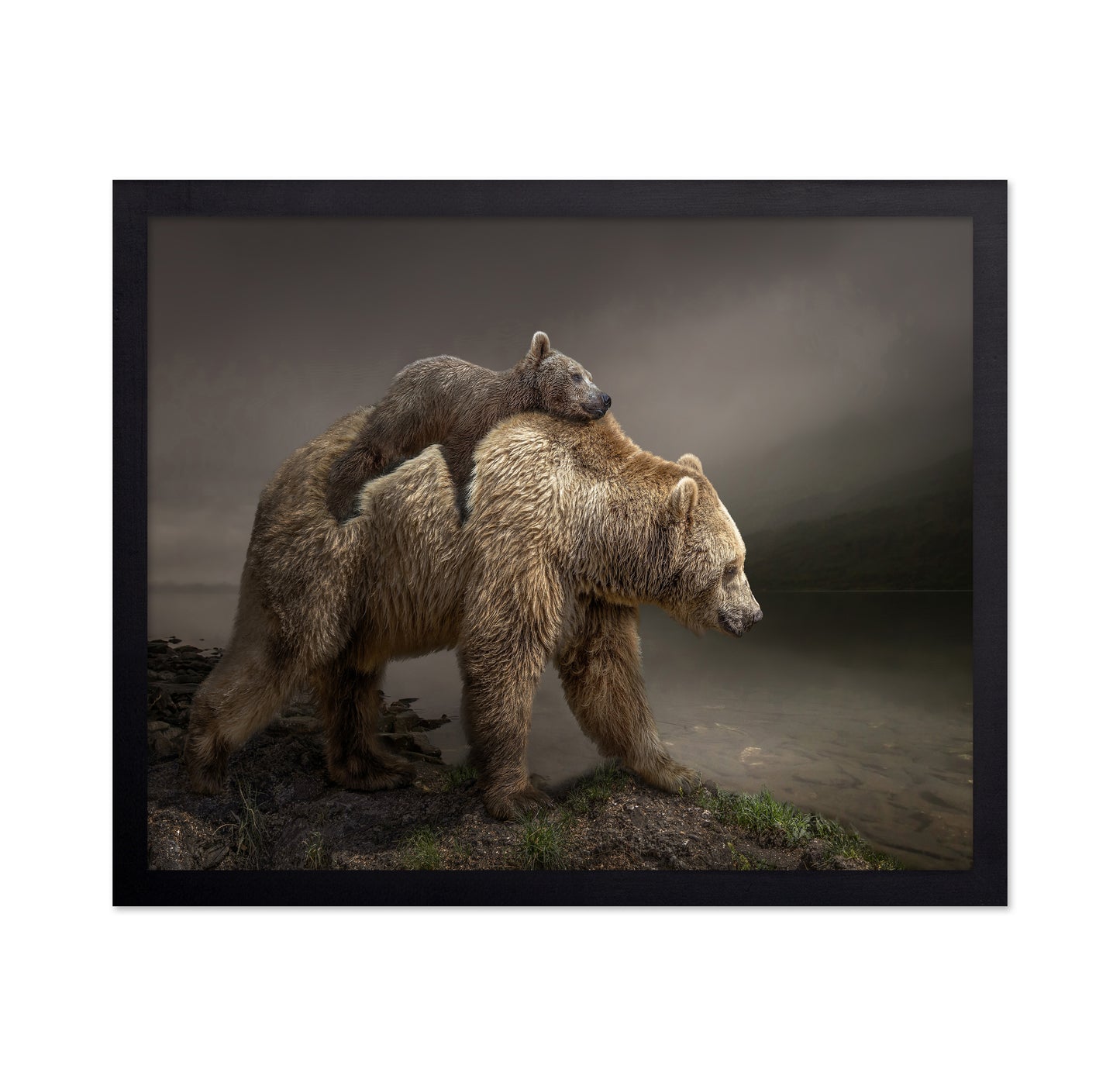 Bear Cub Ride