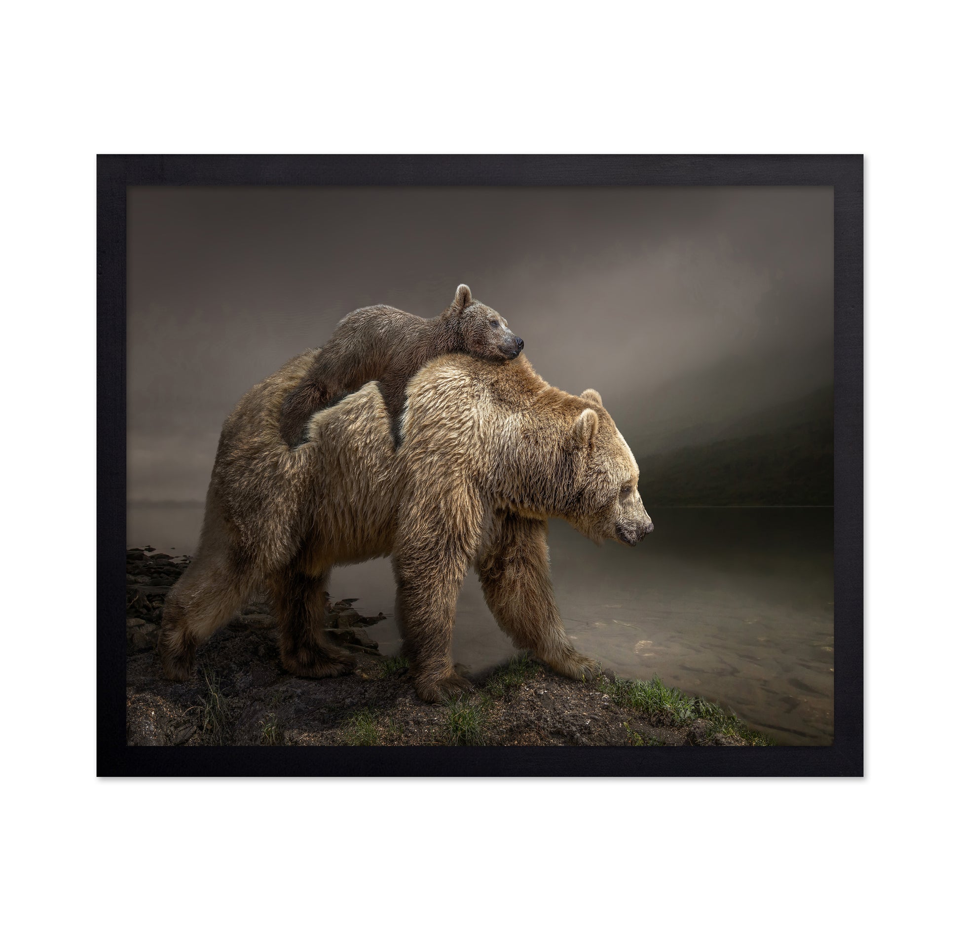 Bear Cub Ride