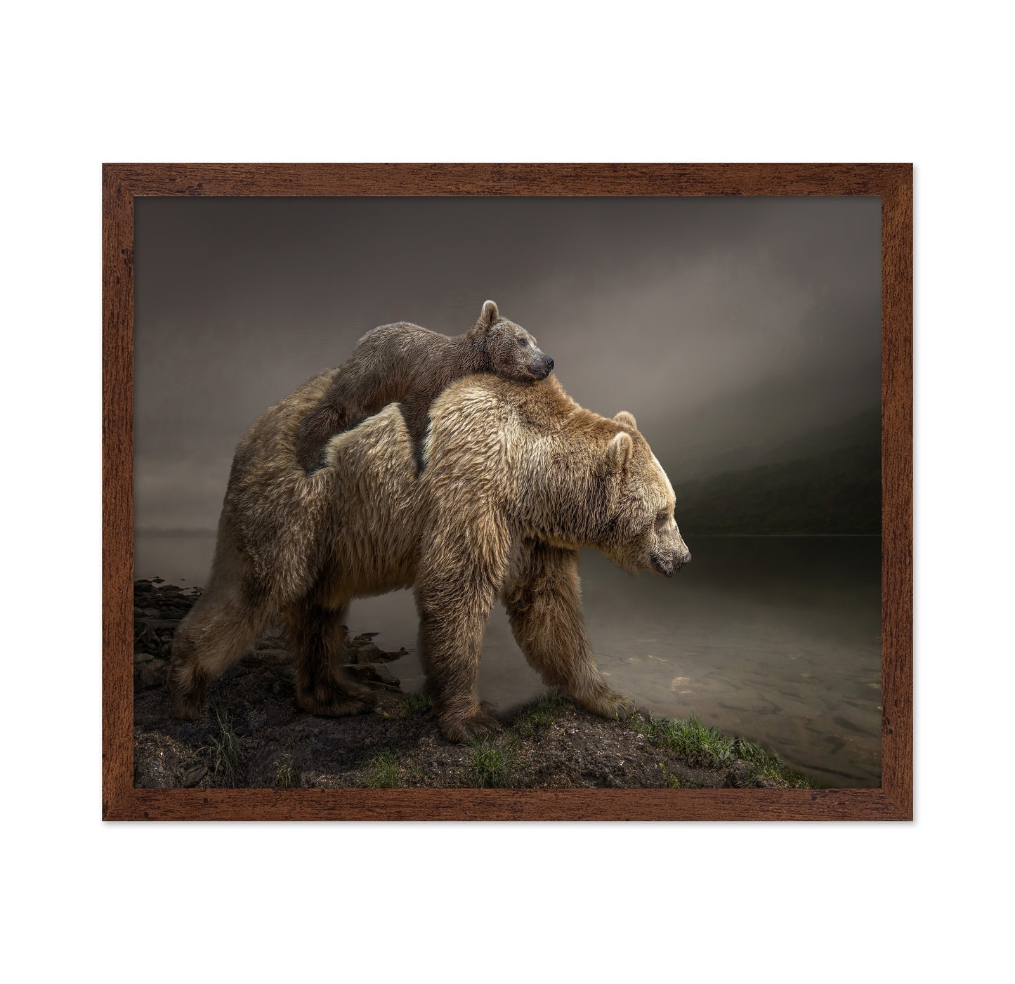 Bear Cub Ride