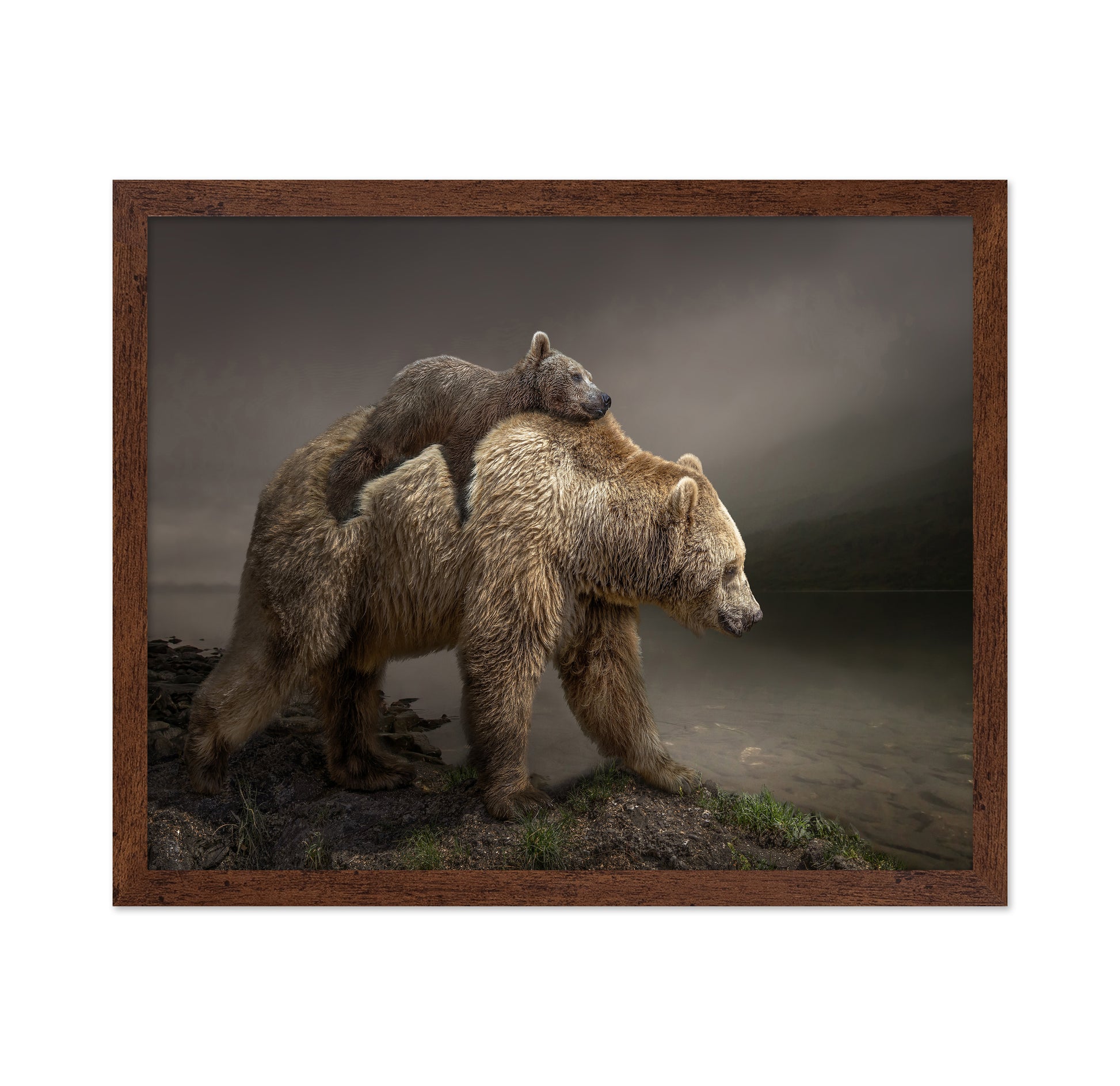 Bear Cub Ride