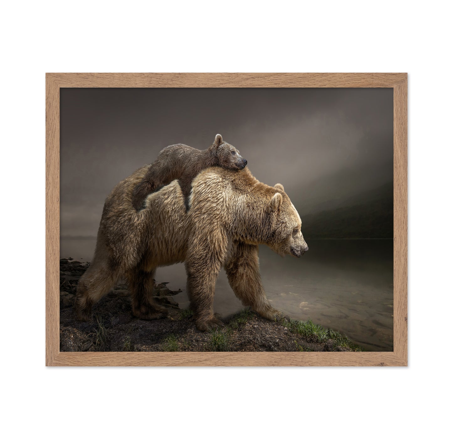 Bear Cub Ride
