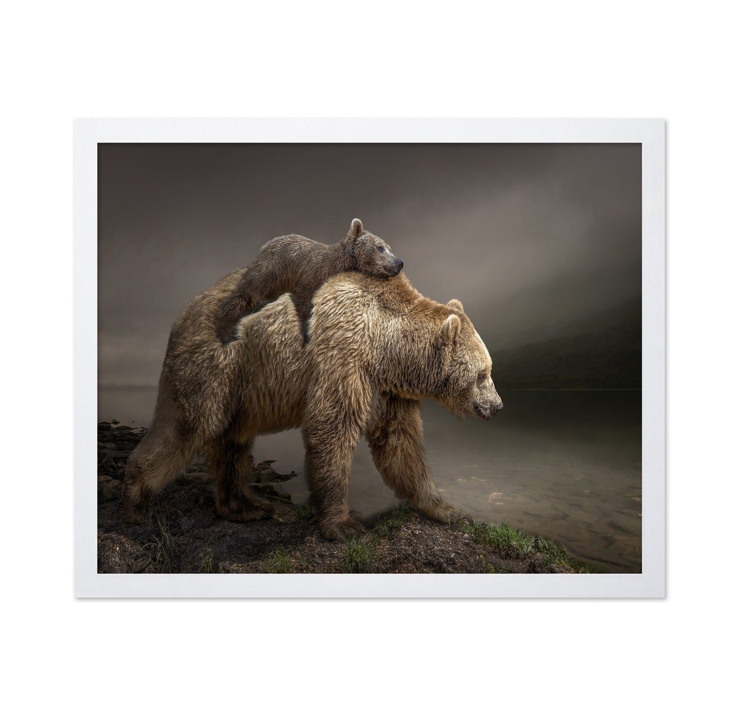 Bear Cub Ride